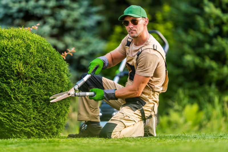 Shrub Trimming Service
