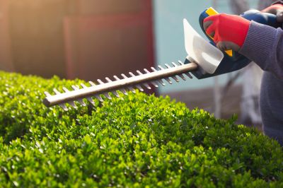 Get in Contact With a Local Professional Today!