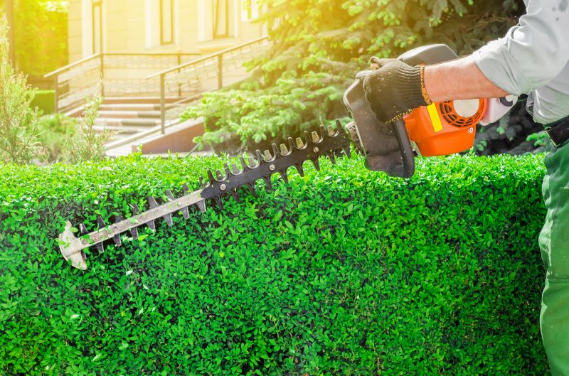 Hedge Maintenance