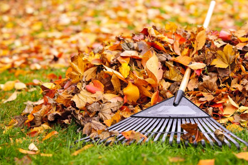 Fall Lawn Cleanup