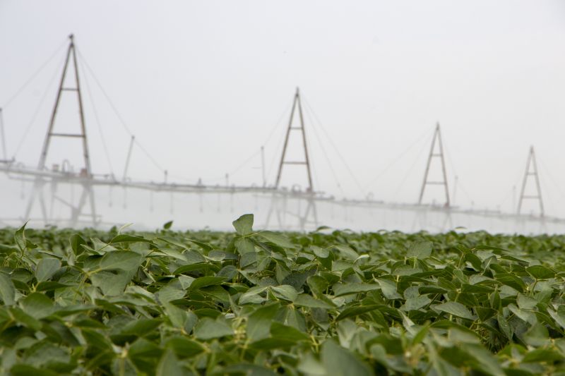 Irrigation System Setup