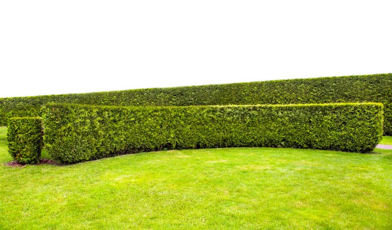 Hedge Maintenance