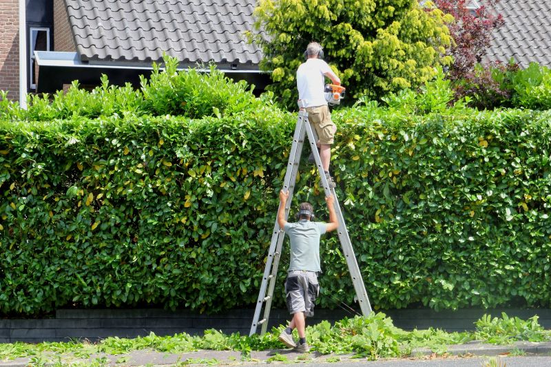 Hedge Maintenance