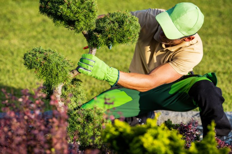 Landscaper at Work