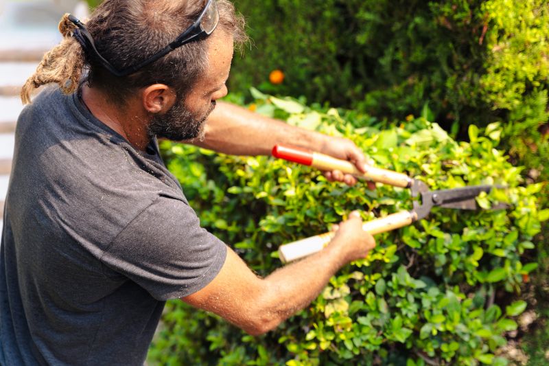 Trimmed Shrubs with Sharp Edges