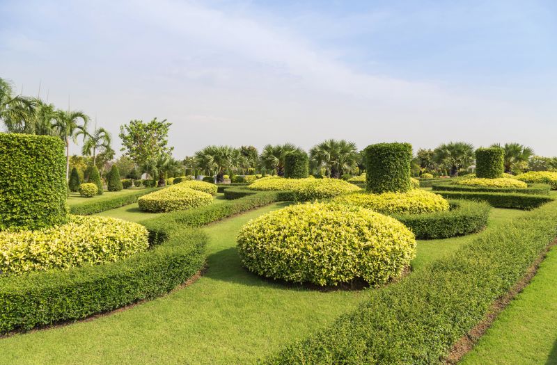 Landscape with Symmetrical Shrubs