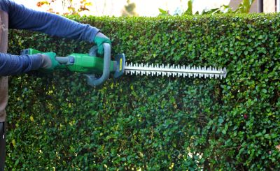 Keep Your Landscaping Looking Well Maintained With Professional Hedge Maintenance!