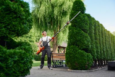Professional Hedge Maintenance is Available To Both Residential and Commercial Properties!