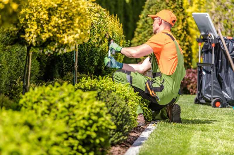 Hedge Maintenance Contractor Listings