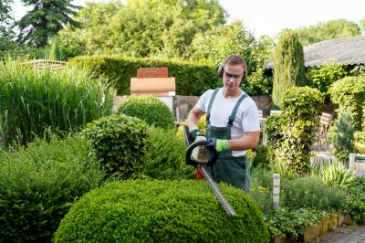 Hedge Maintenance Promotions and Deals